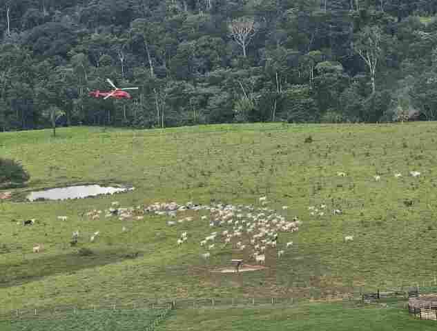 Agentes do ICMBio sofrem atentados em reserva no Acre