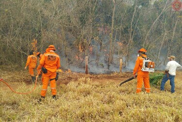 Corpo de Bombeiros abre 262 vagas temporárias para brigadistas com salário de R$ 2.277 mais benefícios em Rondônia