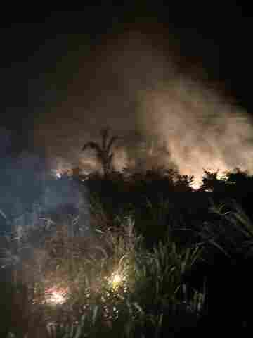 PF prende dois em flagrante por incêndios em áreas de vegetação em Rondônia
