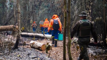 Governo de Rondônia diz que intensifica combate às queimadas com educação ambiental e fiscalizações