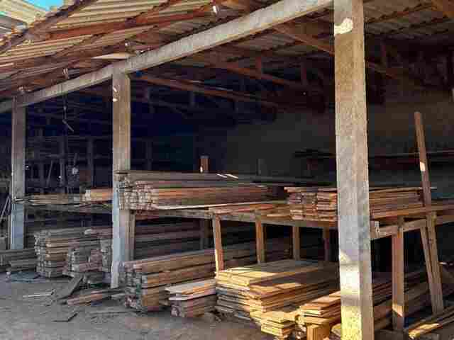 PF cumpre mandados durante operação contra extração ilegal de madeira em Terras Indígenas de Rondônia