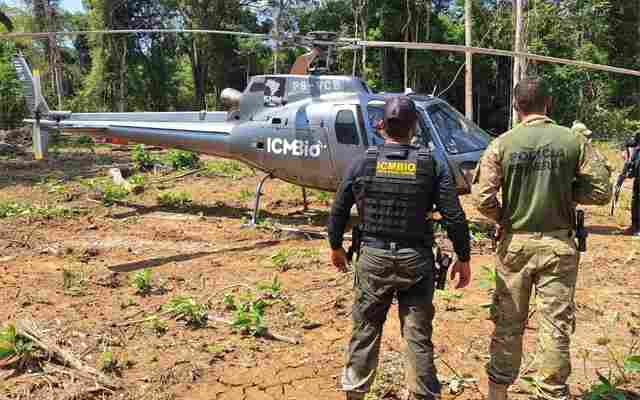 Operação combate crimes ambientais no Parque Nacional Mapinguari
