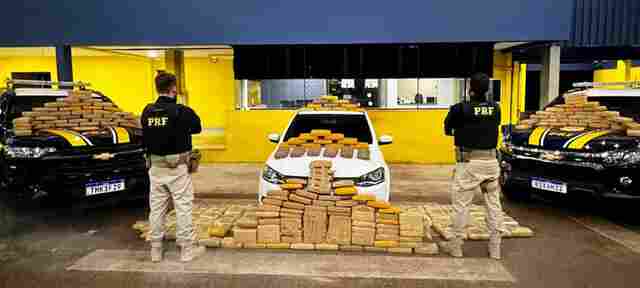 PRF apreende mais de 250 kg de skunk em Rondônia