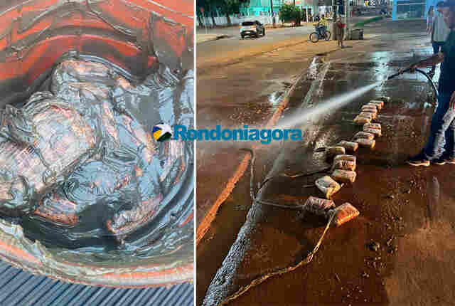 Ação conjunta entre Furtos e Roubos de Veículos com a Polícia do Acre apreende 20 pacotes de skunk em Porto Velho