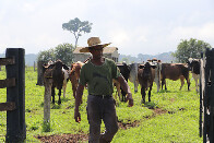 Produtor rural terá que pagar adiantado para garantir serviços do programa Porteira Adentro