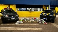 PRF apreende quase 70 kg de skunk durante fiscalização na BR-364 em Pimenta Bueno