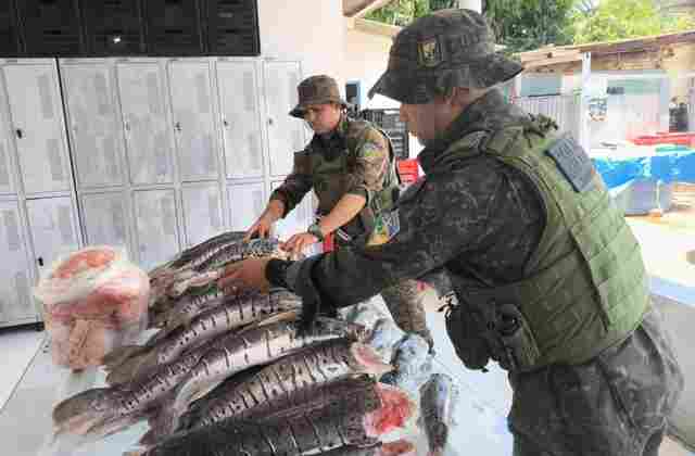Operação apreende mais de 200 kg de pescado na BR-364; produto foi doado ao Hospital de Amor