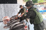 Operação apreende mais de 200 kg de pescado na BR-364; produto foi doado ao Hospital de Amor