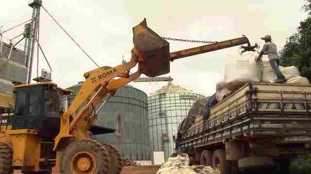 A expansão da soja em Rondônia