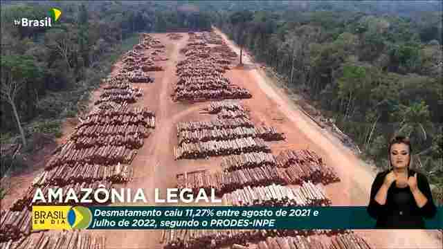 Desmatamento na Amazônia Legal tem queda de 11, 27%