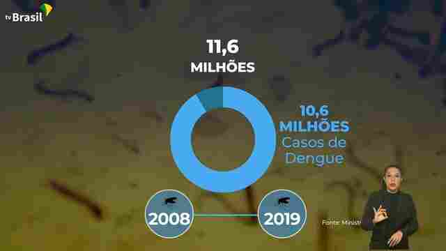 Saiba como o mosquito Aedes aegypti chegou se espalhou pelo Brasil