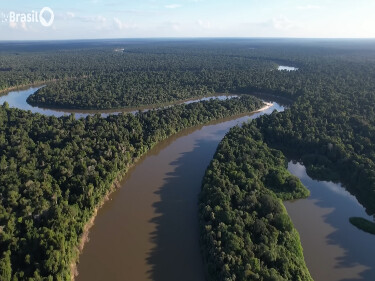 Expedição Ituxi, a Amazônia que sobrevive