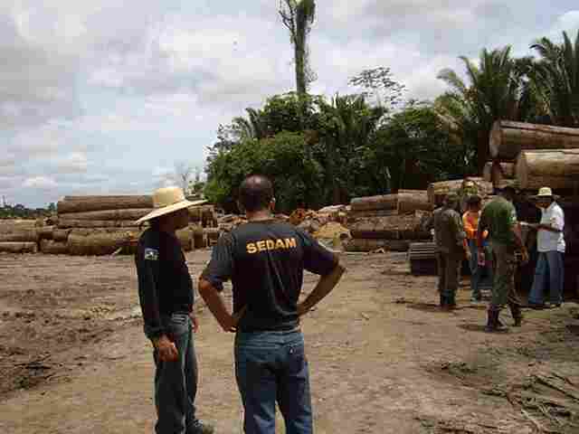 Força-tarefa do Estado apreende 8 mil metros cúbicos de madeiras e aplica R$ 6,5 milhões em multas