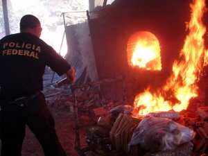 Polícia Federal incinera 1 tonelada de entorpecentes apreendidos em RO