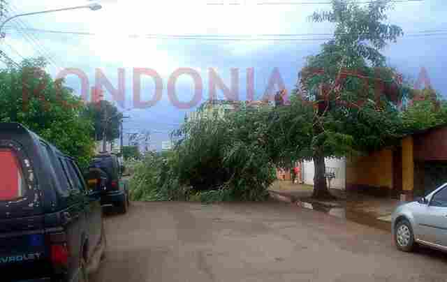 Temporal causa destruição na Capital