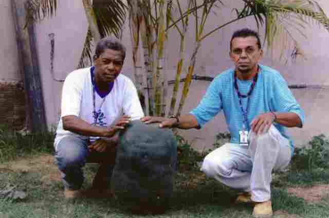 Pepino gigante de 27 quilos é colhido em Machadinho do Oeste