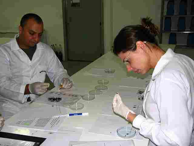 Pesquisa de professora da UNIRON aprovado pelo CNPq