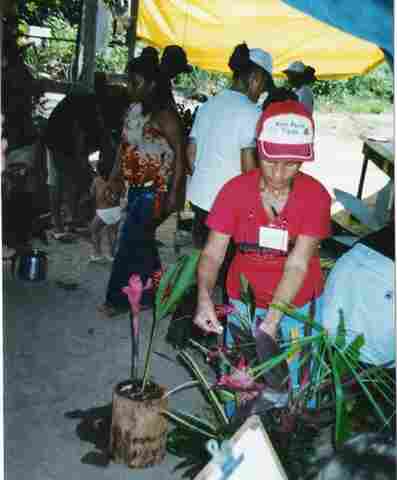 Feira &#34;Mãos Femininas&#34; expõe  fibras e flores em Candeias do Jamari