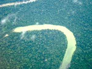 ONGs querem mais reservas na Amazônia - Por Altino Machado