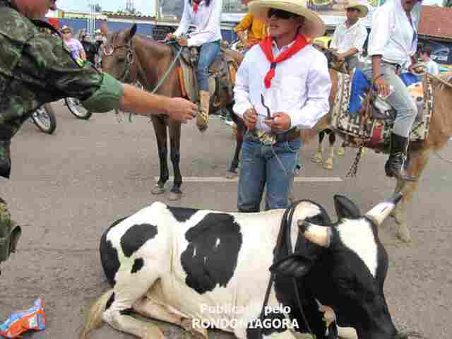 Regras não são respeitadas e Polícia Ambiental retira esporas