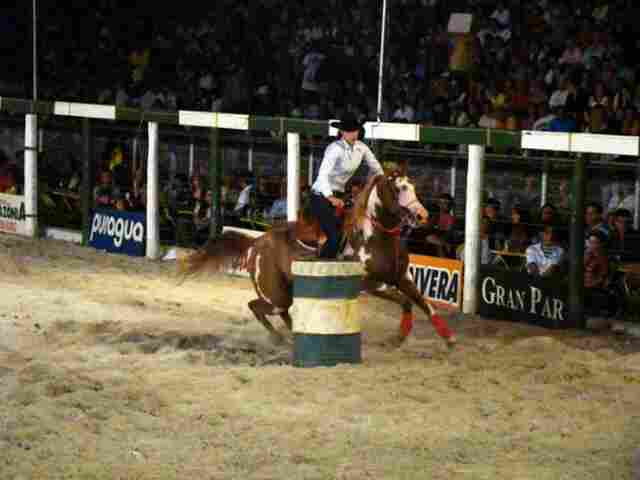 Mais de 300 mil visitantes são esperados na Expoari