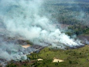 Instituto de Meio Ambiente do Acre restringe autorizações para queimadas