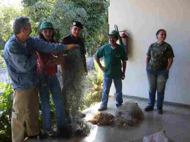 Sedam apreende malhadeiras utilizadas para pesca predatória no Lago Cujubim