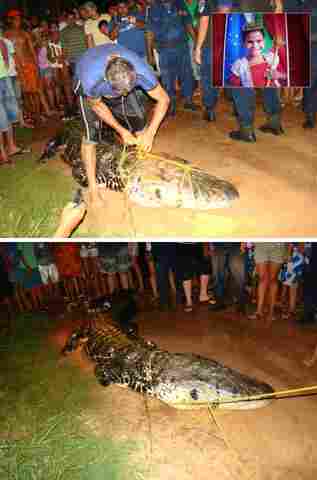 JACARÉ DEVORA MENINA DE 12 ANOS EM GUAJARÁ-MIRIM