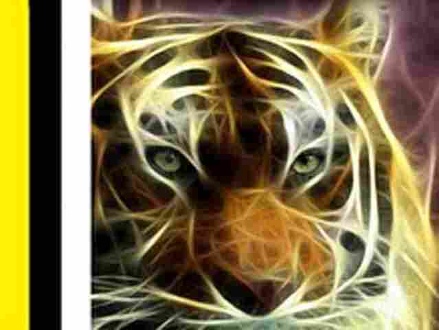 Escola de Samba Asfaltão está em festa e recebe homenagem de brincantes