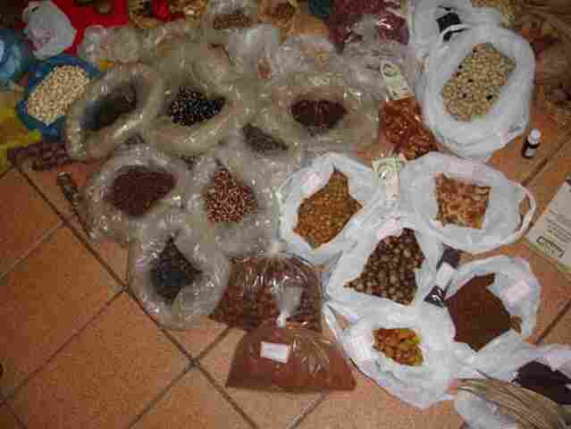 Rondônia terá seu banco de dados de sementes crioulas