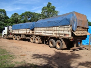 Transporte irregular de madeira é localizado e apreendido por policiais ambientais