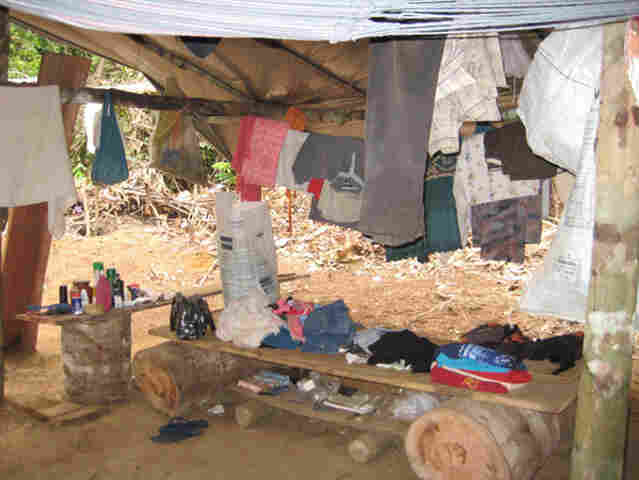 Operação libera 13 trabalhadores mantidos em condições degradantes