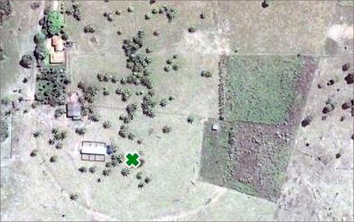 Obra em estrada leva à descoberta de cinco geoglifos em Rondônia