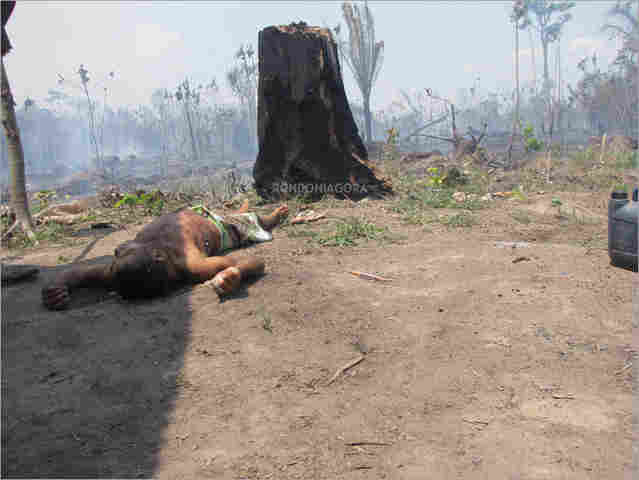 Jovem é morto com tiros na cabeça e no corpo; imagens fortes