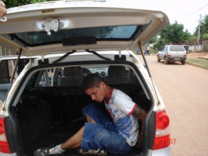 Acusado de furto é preso em flagrante em cima de árvore