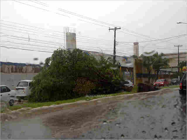 Temporal causa grandes alagamentos e derruba árvores na Capital