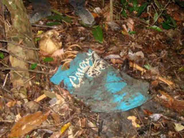 Caçador encontra ossada humana em mata fechada no interior do Estado