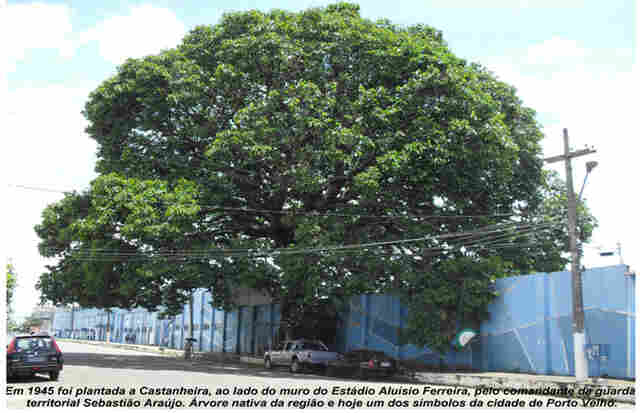 Porto Velho - A Sustentabilidade e a Ecologia não são nossas prioridades