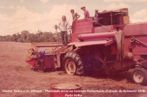 Agropecuária  É a hora e a vez de Rondônia