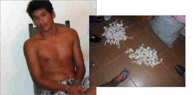 Padrasto acusado de pedofilia contra três meninas é preso com droga pela Depca