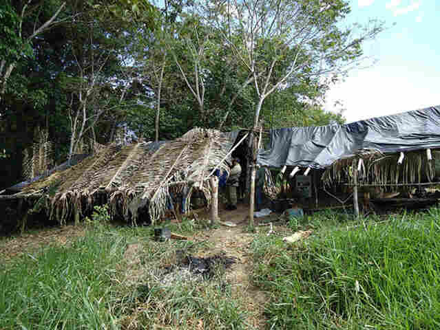 TRABALHADORES ERAM ESCRAVIZADOS EM FAZENDA EM ARIQUEMES