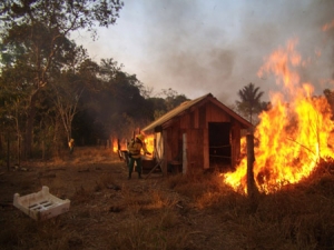 Machadinho registrou o maior incêndio florestal do ano