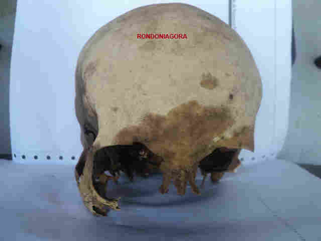 Na Capital, pescador encontra crânio no Rio Madeira