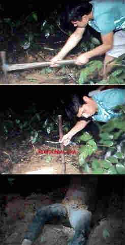 JOVEM DE 19 ANOS CONFESSA TER VIOLENTADO E MATADO MULHER NA CAPITAL