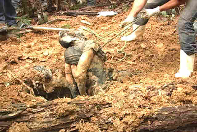 POLÍCIA ENCONTRA CINCO CORPOS EM JACY-PARANÁ