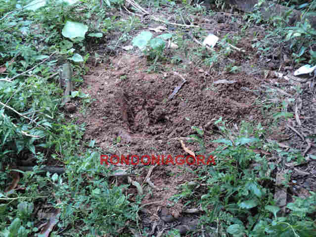 JOVEM DE 17 ANOS ENTERROU FILHO NO QUINTAL DE CASA; POLÍCIA INVESTIGA SE CRIANÇA ESTAVA VIVA