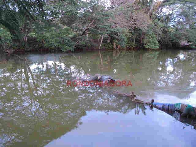 Caseiro encontrado morto em represa