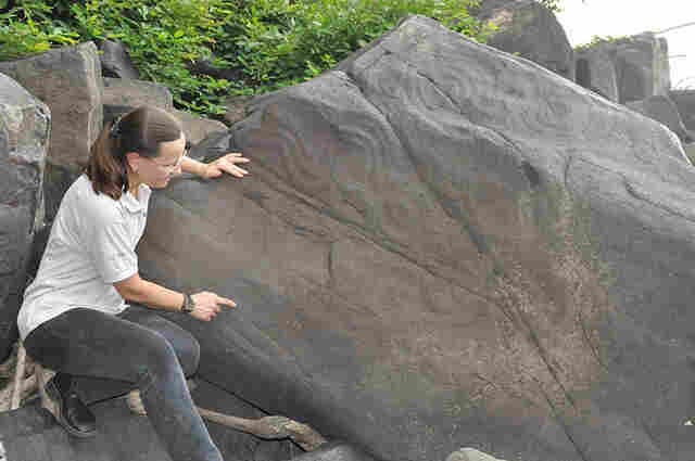 Mais de 100 mil peças arqueológicas encontradas na região da Usina de Jirau