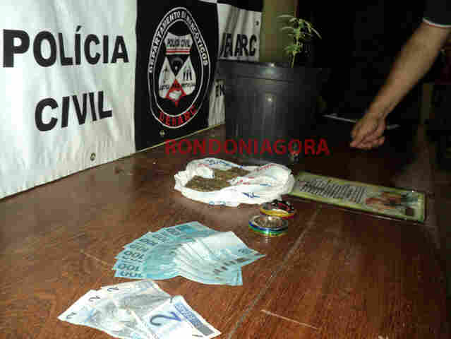 Suspeito de tráfico tinha até muda de Cannabis Sativa