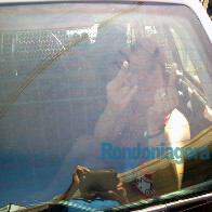 Mulheres brigam por dívida na venda de drogas; Fotos